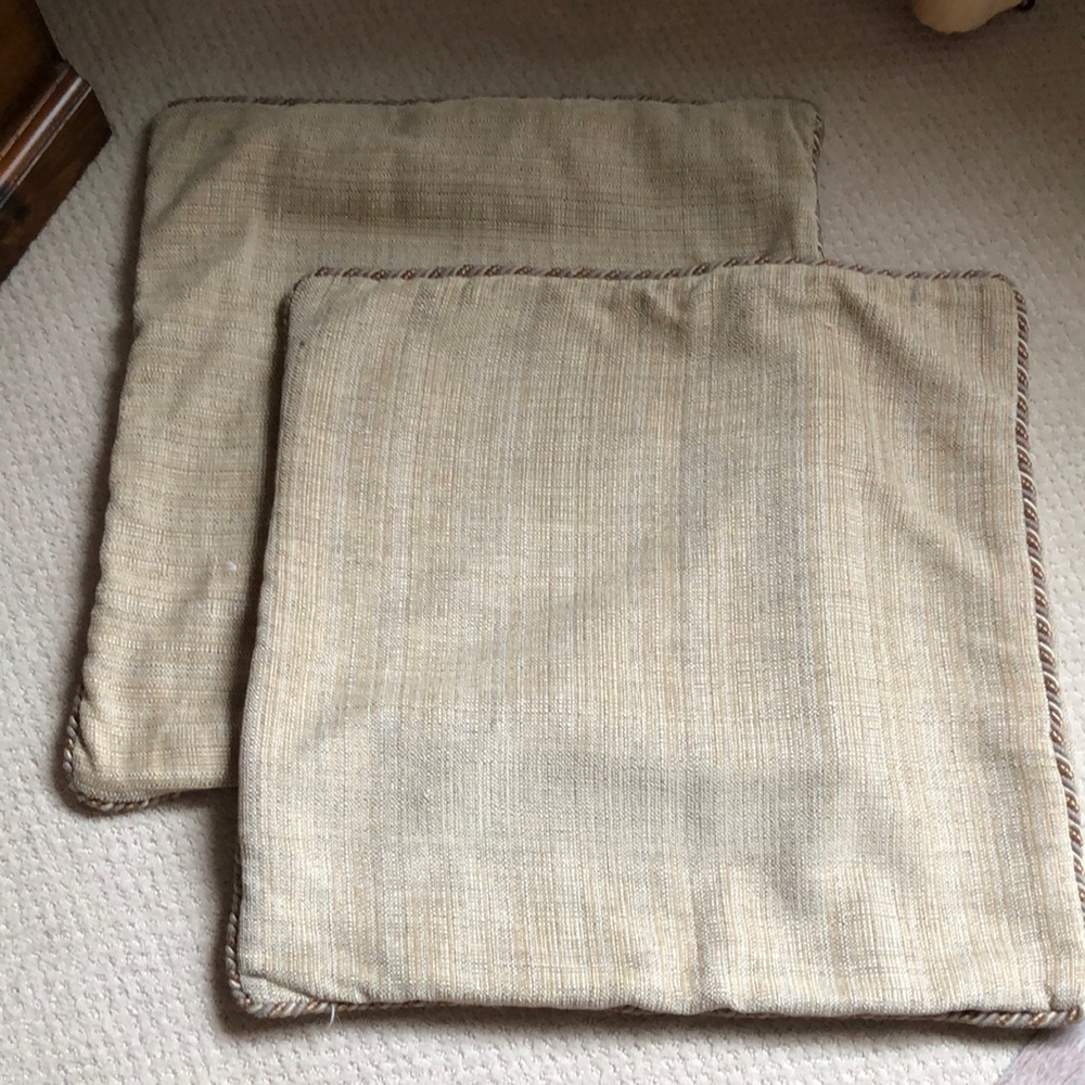 Beautiful 2 22x22 chenille trimmed pillows by Bernhardt